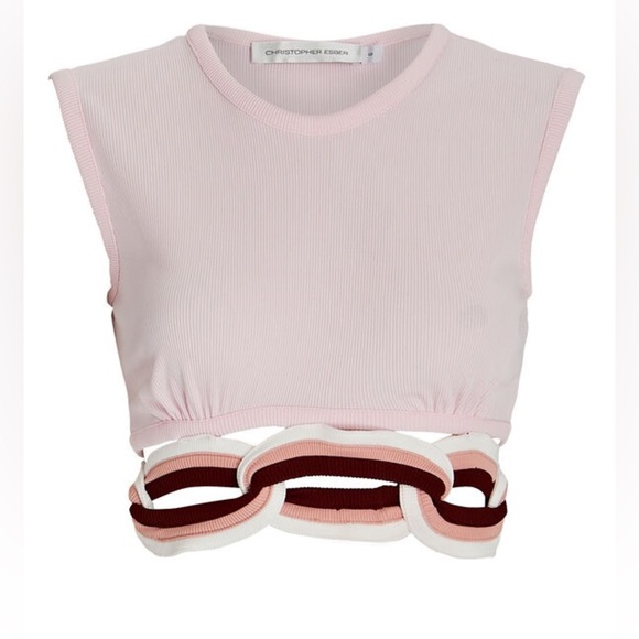 NWT Christopher Esber Woman’s Blush Crop Top Size 8 - Picture 1 of 5